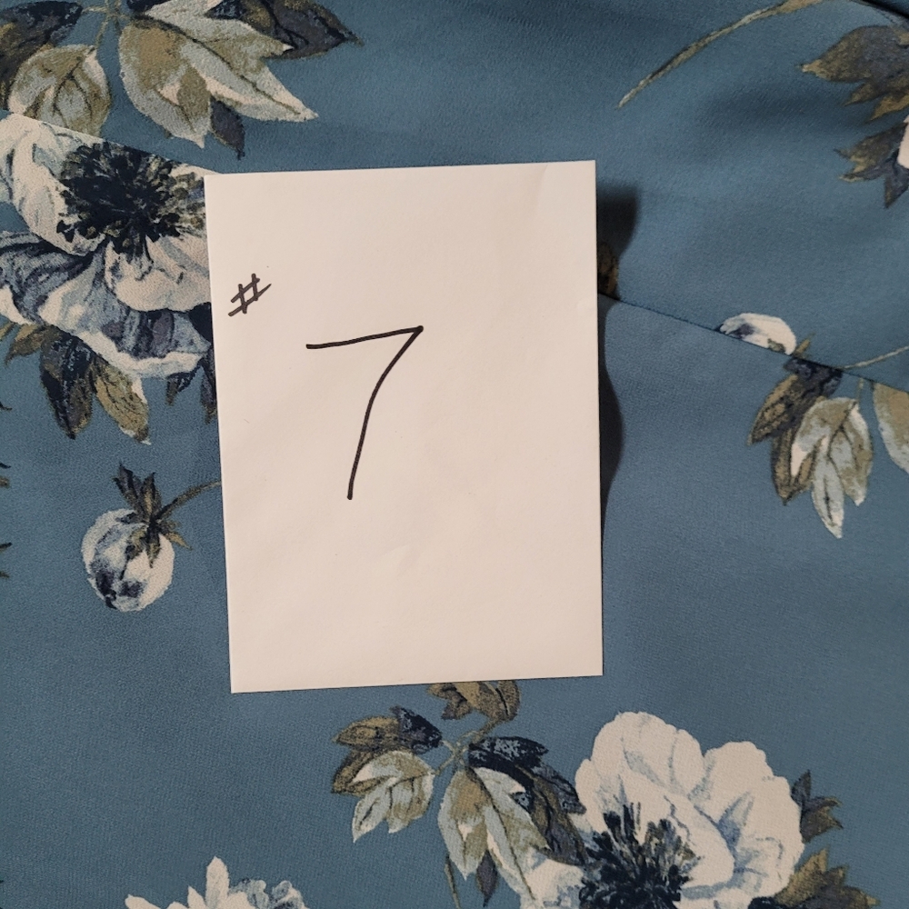 Lulus Dress - Picture 11 of 11